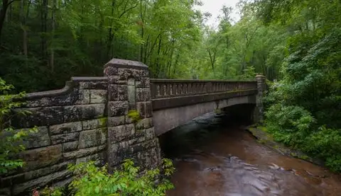 Brevard