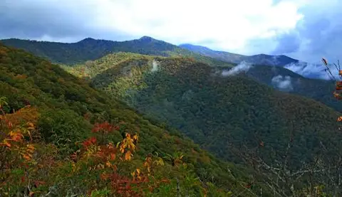 Sylva