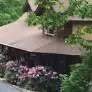 Painting Services in Wolf Laurel
