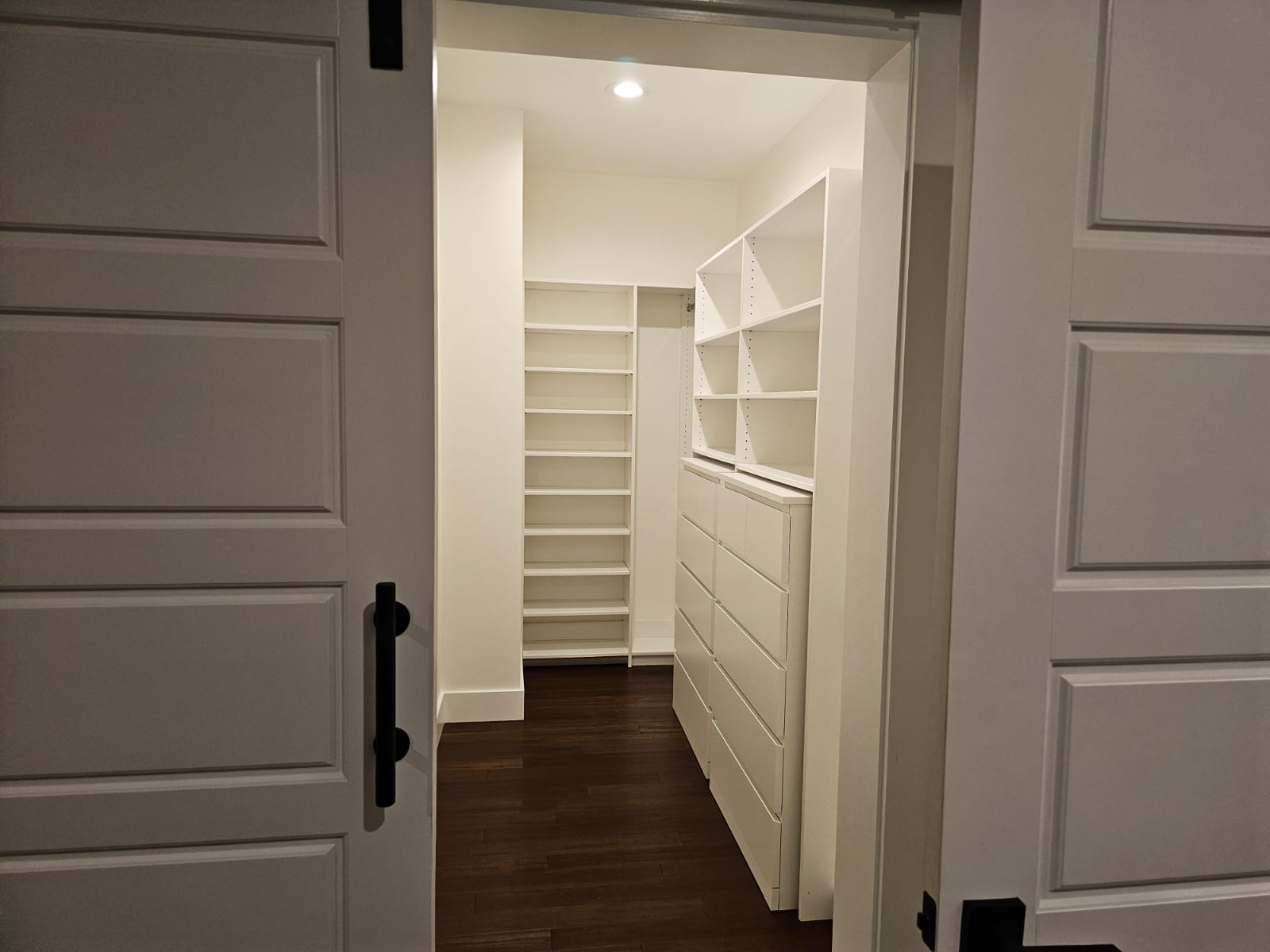 Cabinet Paint