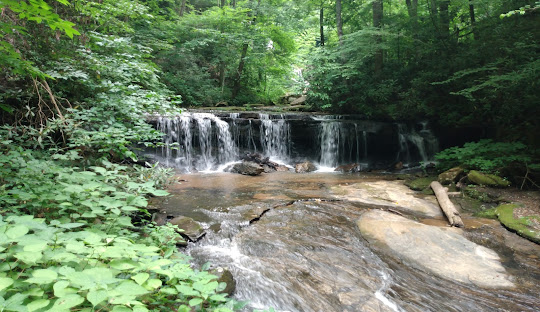 Tryon