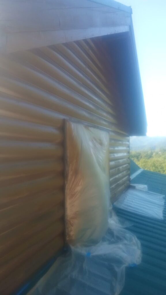 Custom Painting of Asheville work